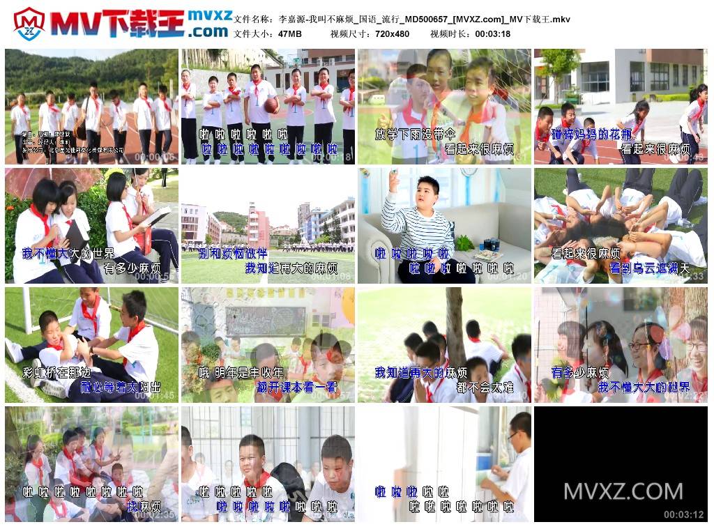 李嘉源-我叫不麻烦_国语_流行_MD500657